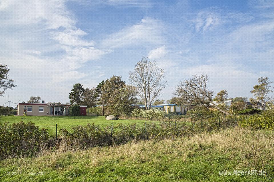 Ferienhäuser in dem kleinen uns sehr beschaulichen Marienleuchte auf Fehmarn // Foto: MeerART