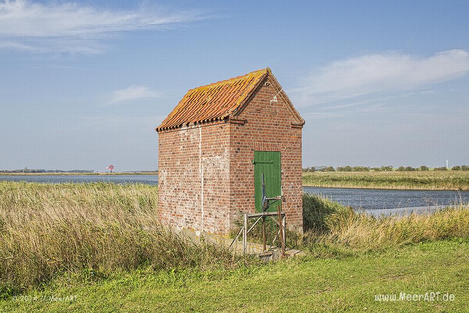 Impressionen vom wunderschönen Flügger-Strand auf Fehmarn // Foto: MeerART