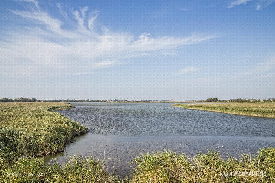 Impressionen vom wunderschönen Flügger-Strand auf Fehmarn // Foto: MeerART