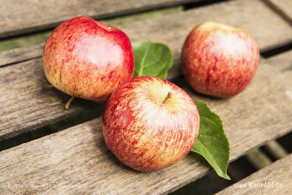Äpfel auf Obstkiste