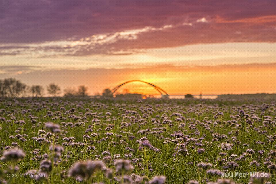 Sonnenuntergang am Fehmarnsund // Foto: MeerART / Ralph Kerpa