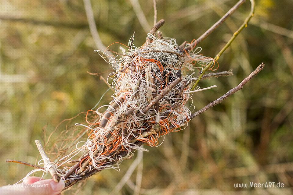 Viel Müll in der Natur auf der Elbinsel in Geesthacht // Foto: MeerART