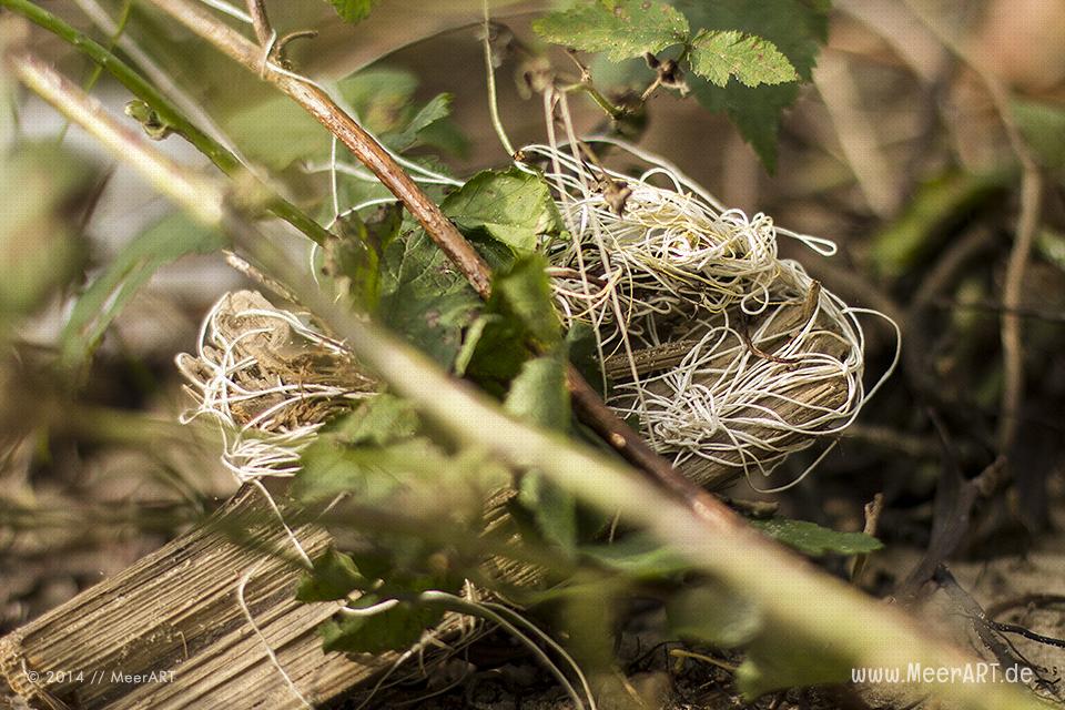 Viel Müll in der Natur auf der Elbinsel in Geesthacht // Foto: MeerART