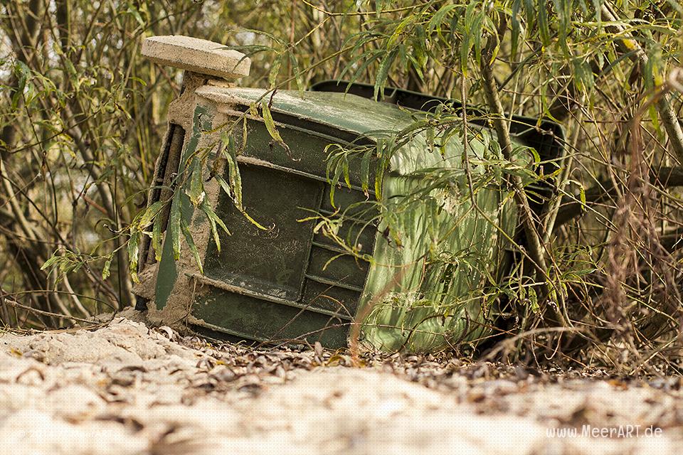 Viel Müll in der Natur auf der Elbinsel in Geesthacht // Foto: MeerART