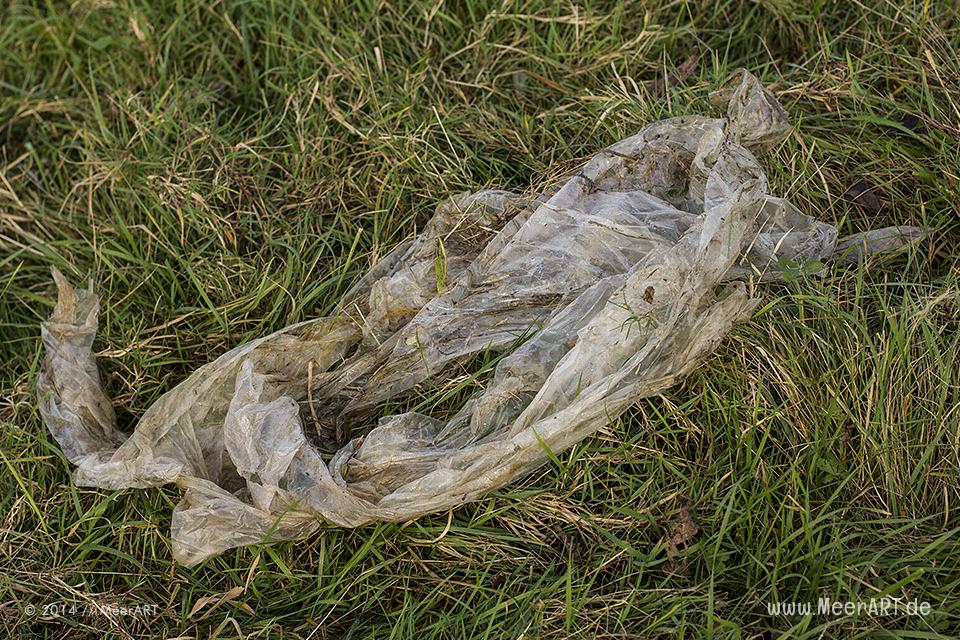 Viel Müll in der Natur auf der Elbinsel in Geesthacht // Foto: MeerART