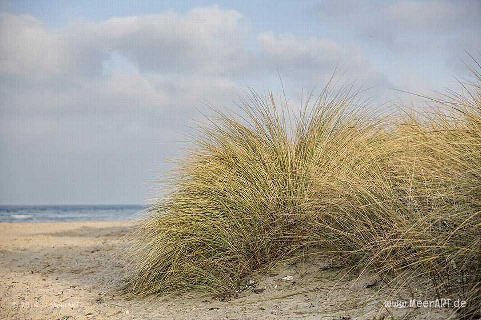 Winterimpressionen aus dem beschaulichen Niendorf an der Ostsee // Foto: MeerART / Ralph Kerpa