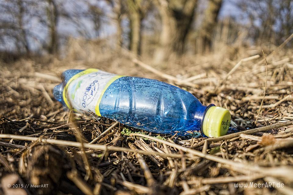 Elbinsel Clean Up am 17.01.2015 mit MeerART und Sea Shepherd Deutschland // Foto: MeerART