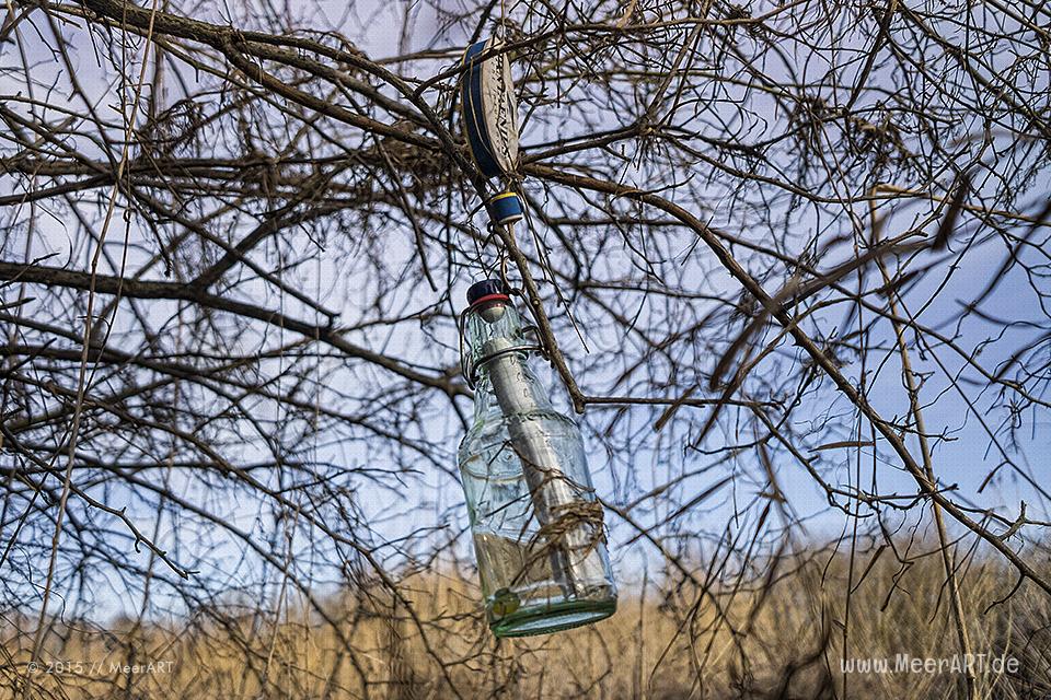 Eine auf der Elbinsel in Geesthacht gefundene Flaschenpost aus Kiel // Foto: MeerART