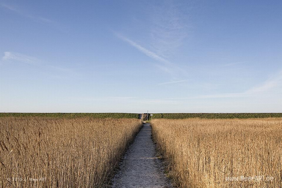 Impressionen aus dem Naturschutzgebiet "Wallnau" auf der Ostseeinsel Fehmarn // Foto: MeerART