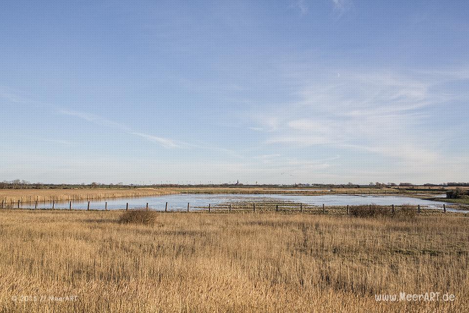Impressionen aus dem Naturschutzgebiet "Wallnau" auf der Ostseeinsel Fehmarn // Foto: MeerART