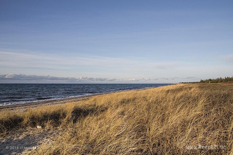 Naturschutzgebiet Wallnau/Fehmarn