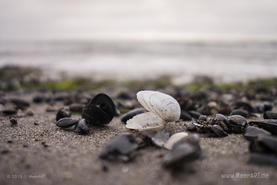 Einmal vom Südstrand nach Staberhuk und zurück // Foto: MeerART / Ralph Kerpa