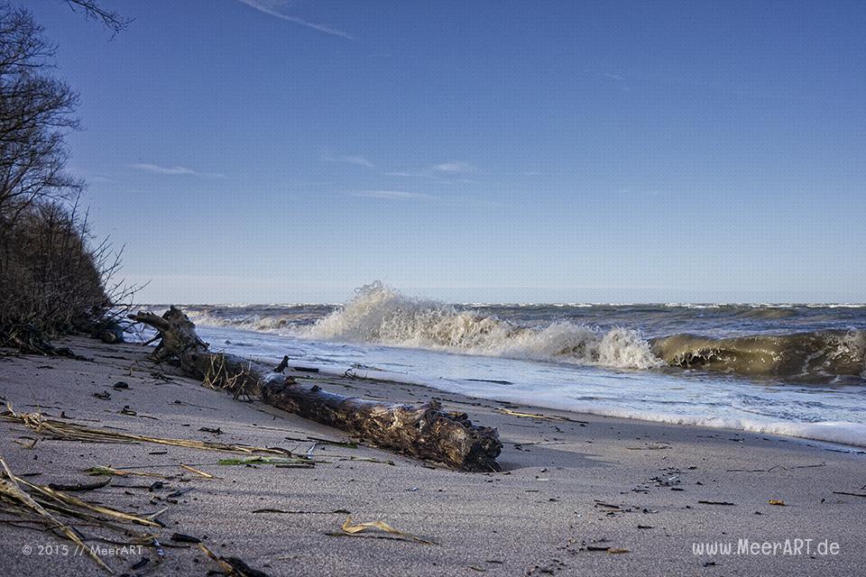 Ein schöner Wintertag im Februar 2015 auf der Insel Poel // Foto: MeerART