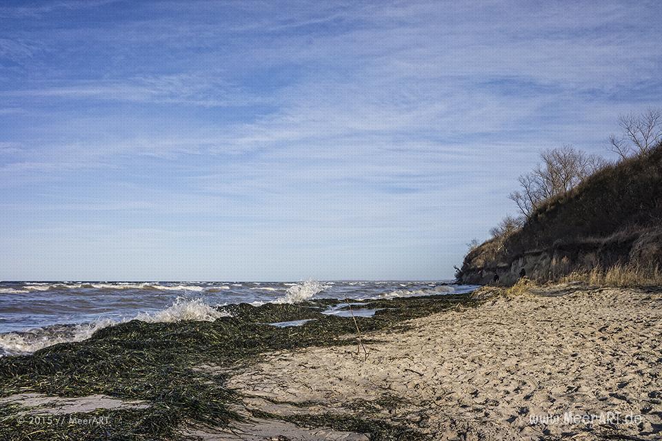 Strandabschnitt am "Schwarzen Busch" auf der idyllischen Insel Poel // Foto: R. Kerpa