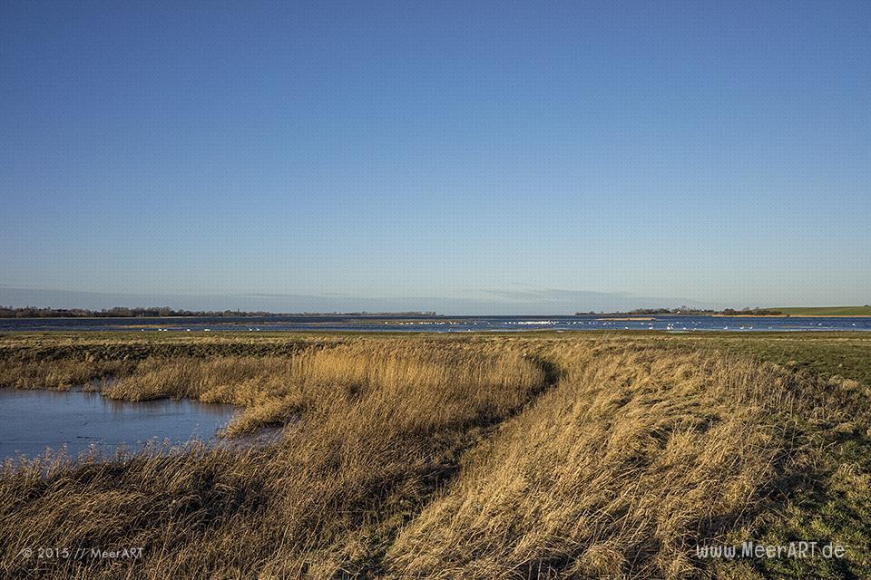 Naturschutzgebiet an der Ostseeküste am Poel-Damm in der Wismarer Bucht // Foto: MeerART