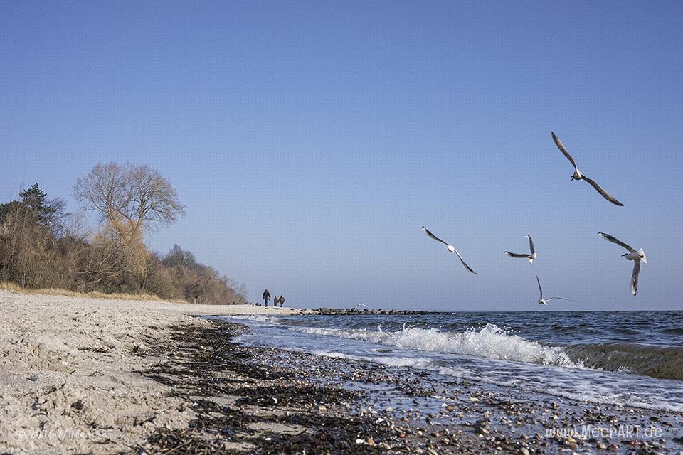 Impressionen von einem wundervollen Wintertag im Ostseebad Sierksdorf // Foto: MeerART