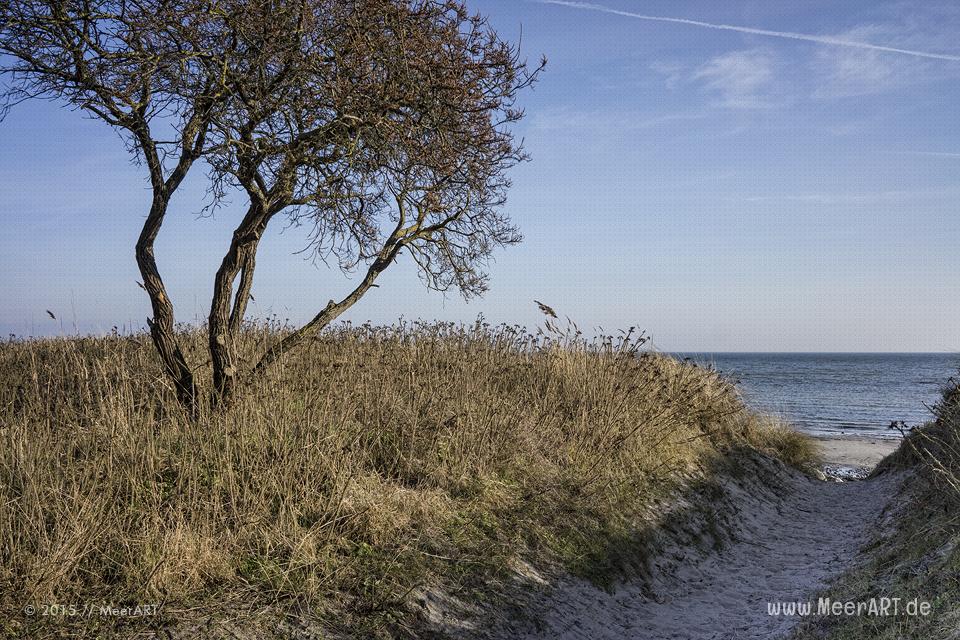 Impressionen aus Grossenbrode an der Ostsee an einem schönen Wintertag im Februar 2015 // Foto: MeerART