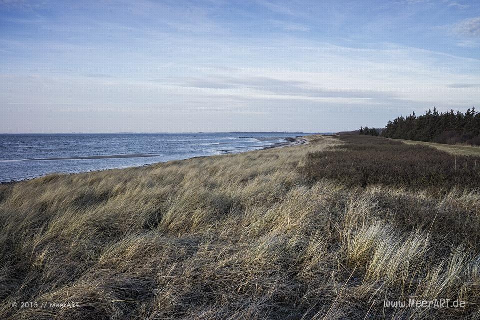Impressionen aus Grossenbrode an der Ostsee an einem schönen Wintertag im Februar 2015 // Foto: MeerART