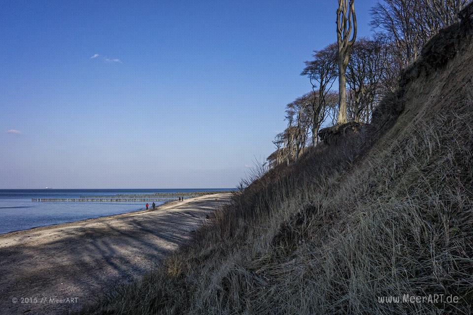 Impressionen vom idyllischen Strand und den Geisterwald in Nienhagen // Foto: MeerART