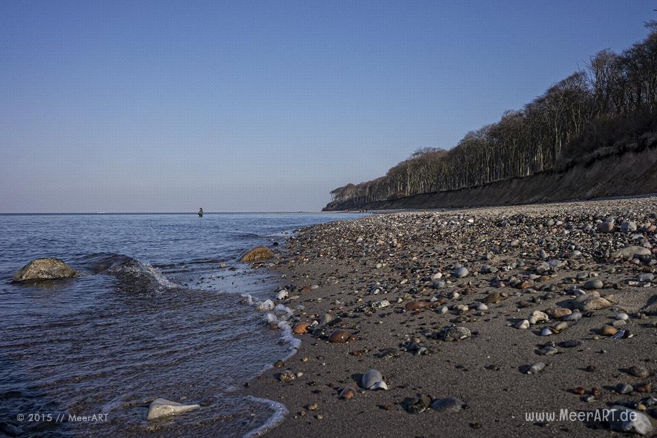 Impressionen vom idyllischen Strand und den Geisterwald in Nienhagen // Foto: MeerART