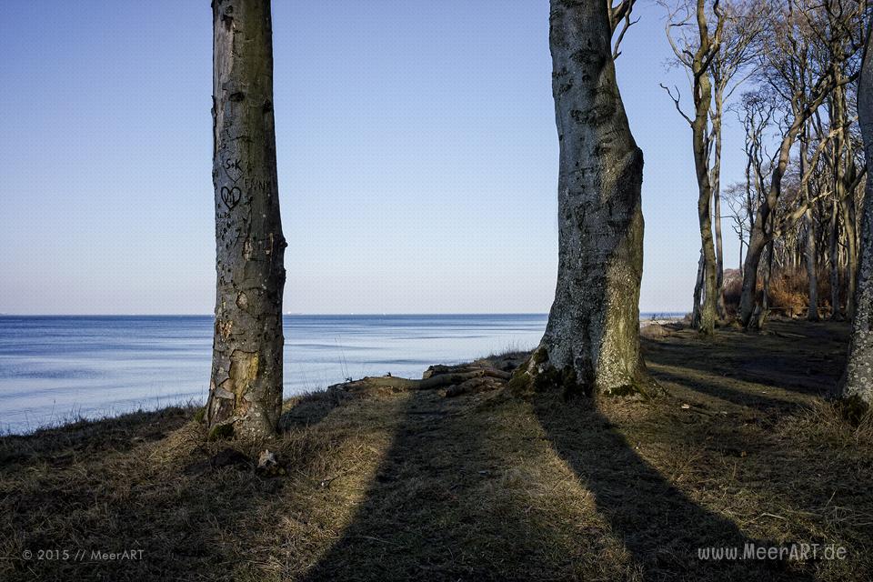 Impressionen vom idyllischen Strand und den Geisterwald in Nienhagen // Foto: MeerART