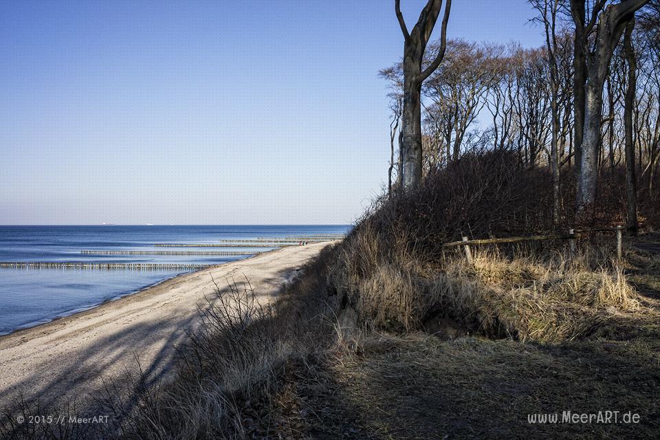 Impressionen vom idyllischen Strand und den Geisterwald in Nienhagen // Foto: MeerART / Ralph Kerpa