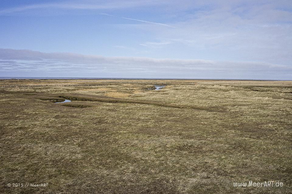 Impressionen aus dem wunderschönen und idyllischen Westerhever // Foto: MeerART