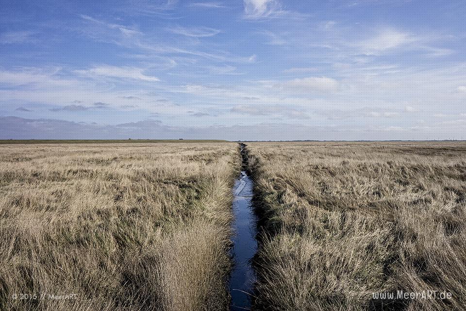 Impressionen aus dem wunderschönen und idyllischen Westerhever // Foto: MeerART