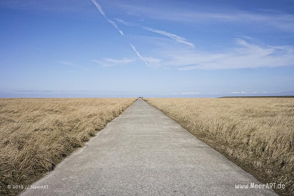 Impressionen aus dem wunderschönen und idyllischen Westerhever // Foto: MeerART