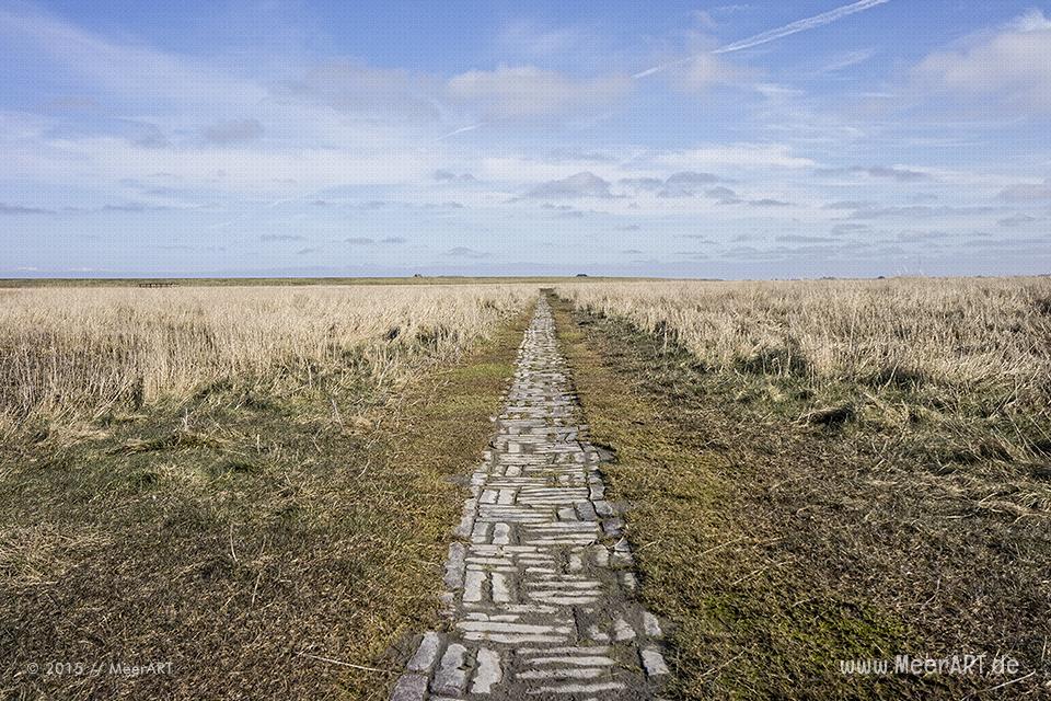 Impressionen aus dem wunderschönen und idyllischen Westerhever // Foto: MeerART