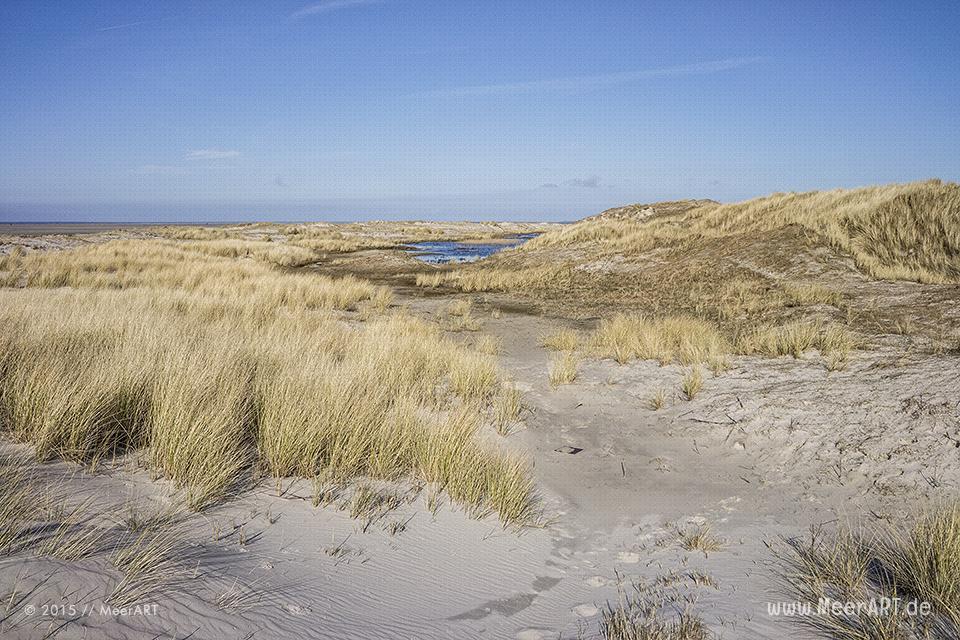 Impressionen von einem fantastischen Frühlingstag an der Nordsee in St. Peter-Ording // Foto: MeerART