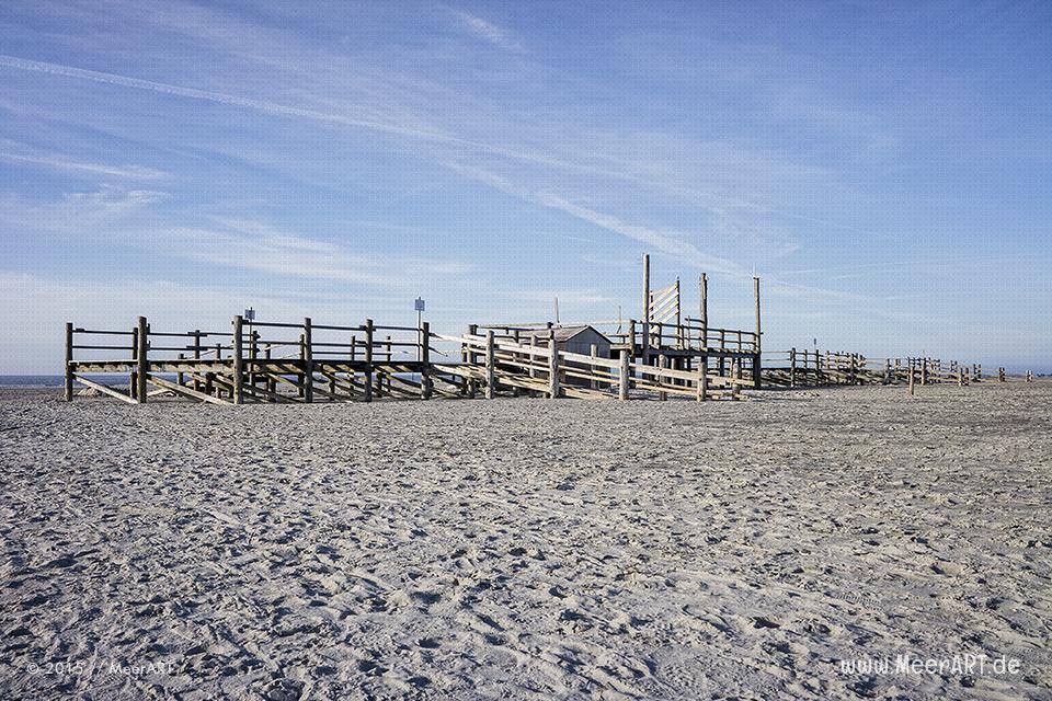 Impressionen von einem fantastischen Frühlingstag an der Nordsee in St. Peter-Ording // Foto: MeerART