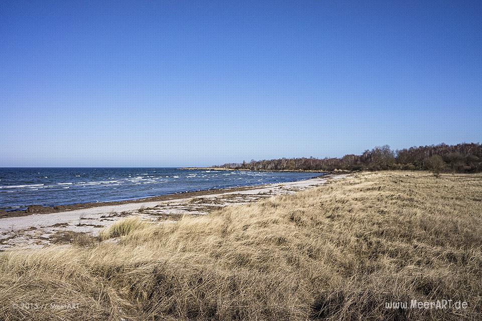 Frühlingserwachen an der Ostsee im Ostseebad Boltenhagen // Foto: MeerART