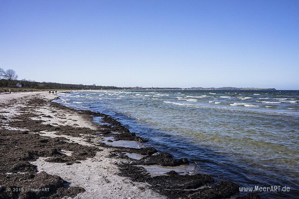 Frühlingserwachen an der Ostsee im Ostseebad Boltenhagen // Foto: MeerART