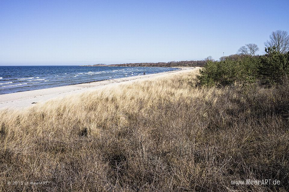Frühlingserwachen an der Ostsee im Ostseebad Boltenhagen // Foto: MeerART
