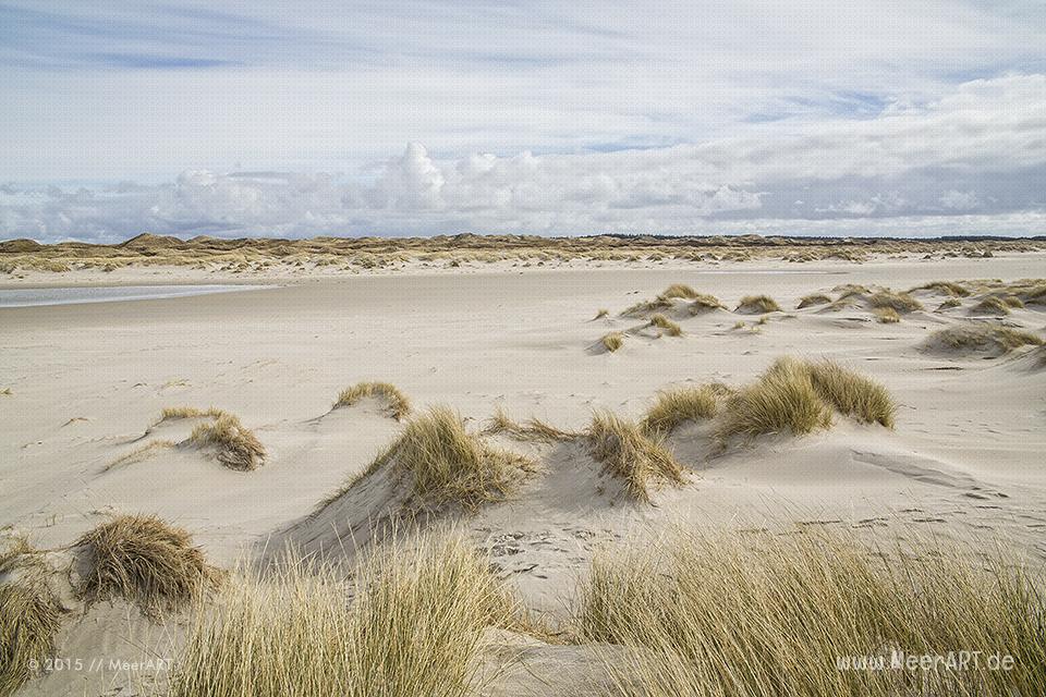 Impressionen vom schier endlos erscheinenden Kniepsand auf Amrum // Foto: MeerART