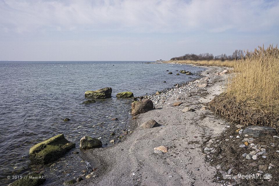 Ein wunderschöner Frühlingstag auf der Ostseeinsel Fehmarn bei Fehmarnsund und Strukkamphuk // Foto: MeerART