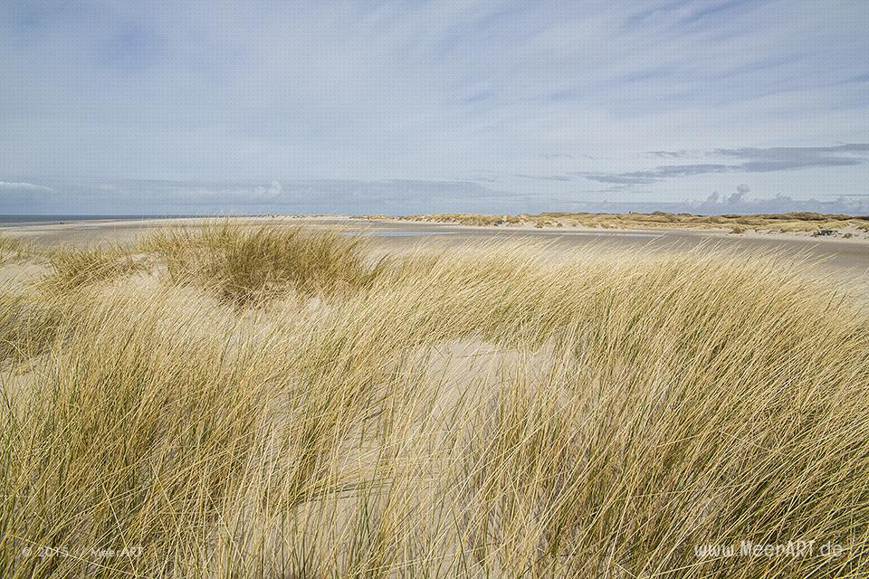 Impressionen vom schier endlos erscheinenden Kniepsand auf Amrum // Foto: MeerART