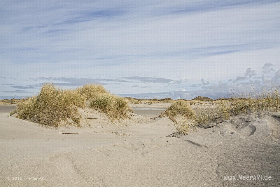 Impressionen vom schier endlos erscheinenden Kniepsand auf Amrum // Foto: MeerART