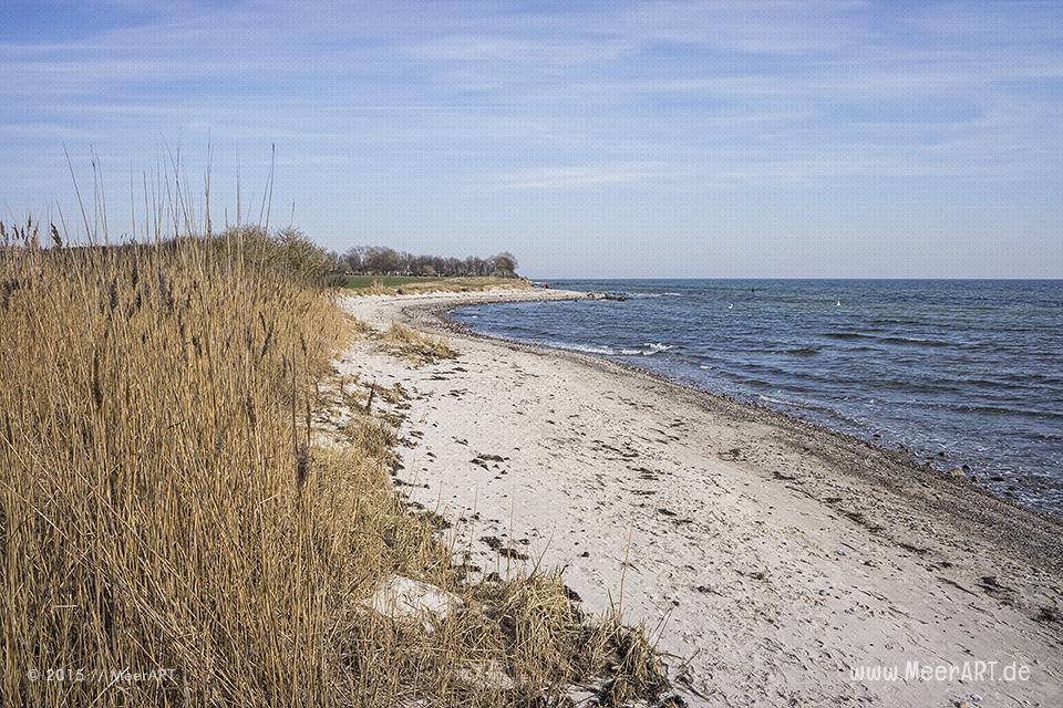 Ein wunderschöner Frühlingstag auf der Ostseeinsel Fehmarn bei Fehmarnsund und Strukkamphuk // Foto: MeerART