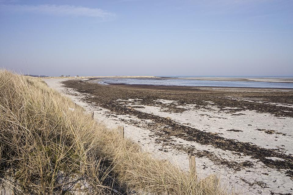 Ein wunderschöner Frühlingstag auf der Ostseeinsel Fehmarn beim Naturschutzgebiet „Grüner Brink“ // Foto: MeerART