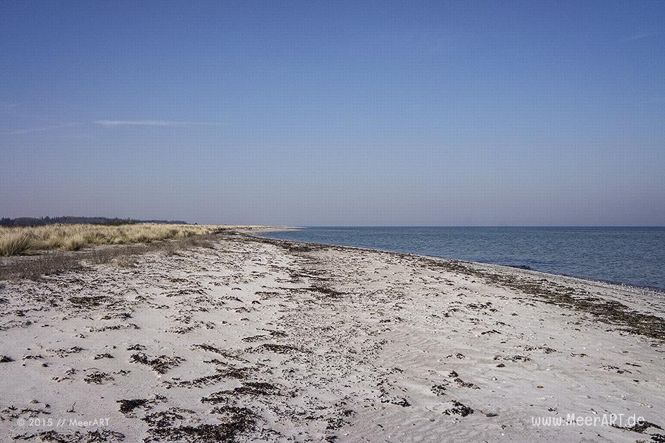 Ein wunderschöner Frühlingstag auf der Ostseeinsel Fehmarn beim Naturschutzgebiet „Grüner Brink“ // Foto: MeerART