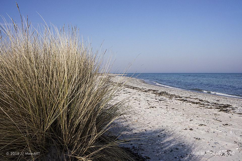 Ein wunderschöner Frühlingstag auf der Ostseeinsel Fehmarn beim Naturschutzgebiet „Grüner Brink“ // Foto: MeerART