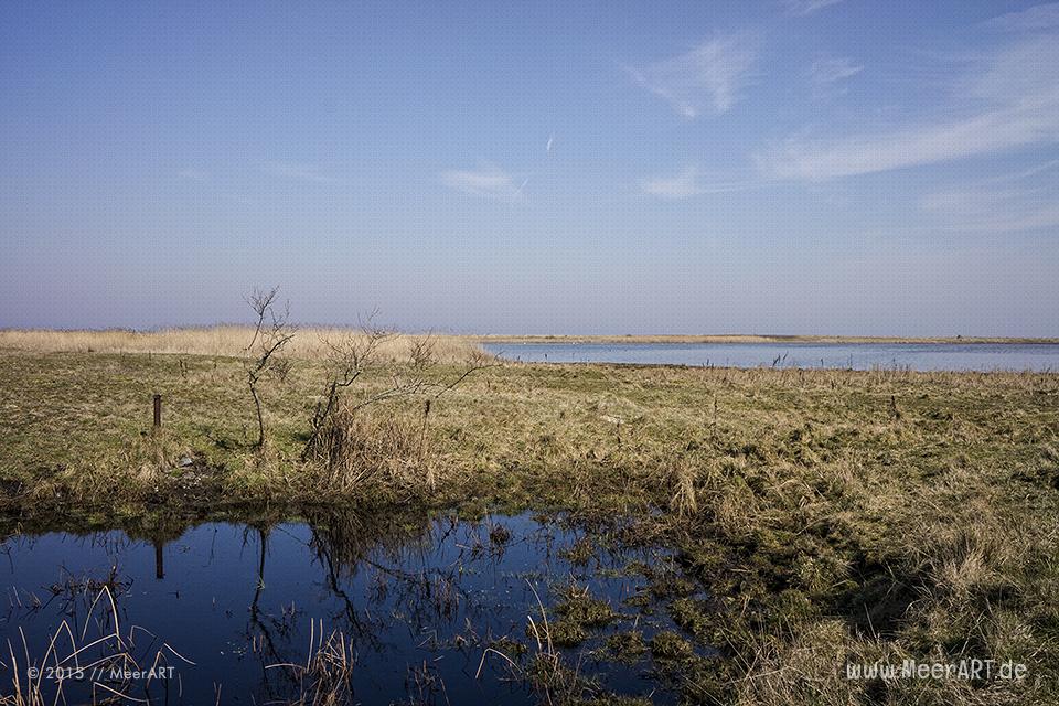 Ein wunderschöner Frühlingstag auf der Ostseeinsel Fehmarn beim Naturschutzgebiet „Grüner Brink“ // Foto: MeerART
