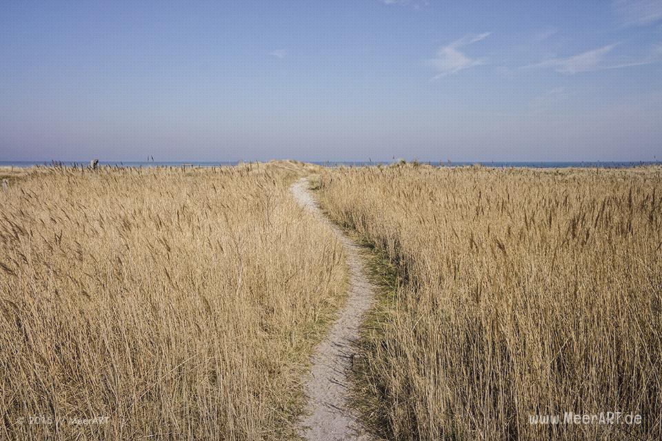 Ein wunderschöner Frühlingstag auf der Ostseeinsel Fehmarn beim Naturschutzgebiet „Grüner Brink“ // Foto: MeerART