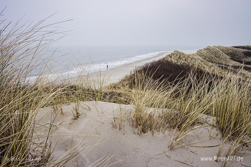 Impressionen von der Nordseeinsel Amrum // Foto: MeerART