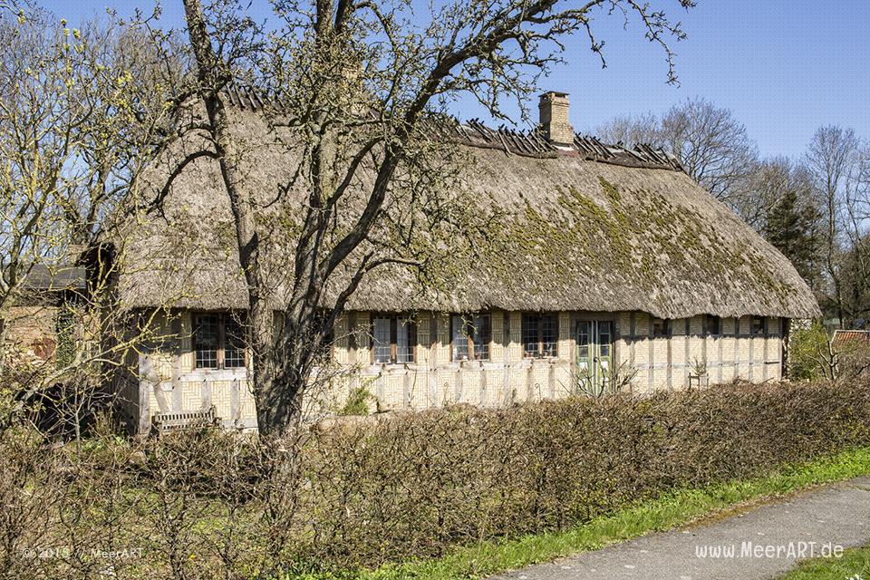 Tour entlang der Schlei über die Ortschaften Lindaunis, Kius bis Ulsnis // Foto: MeerART