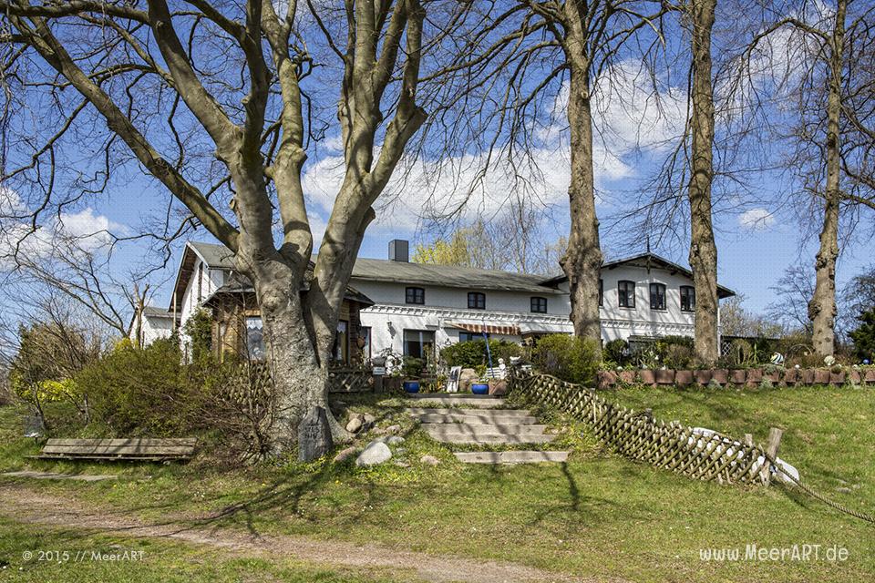 Tour entlang der Schlei über die Ortschaften Lindaunis, Kius bis Ulsnis // Foto: MeerART