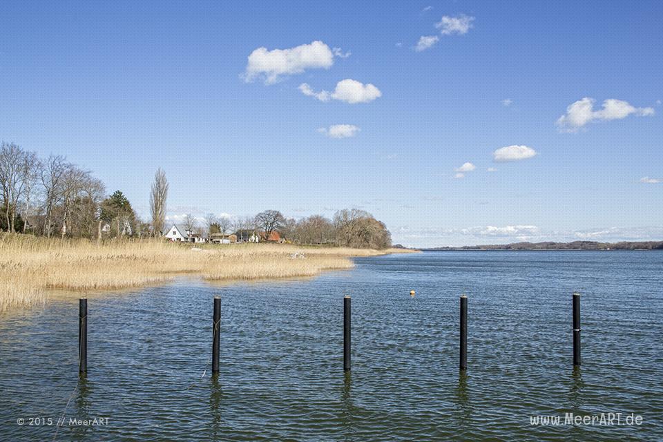 Tour entlang der Schlei über die Ortschaften Lindaunis, Kius bis Ulsnis // Foto: MeerART