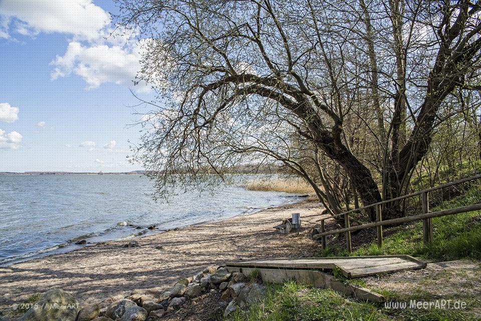 Tour entlang der Schlei über die Ortschaften Borgwedel bis Stexwig // Foto: MeerART